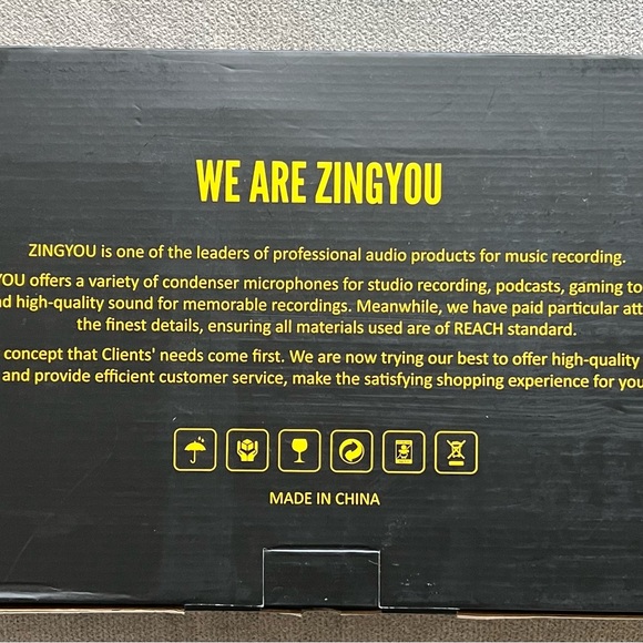 Condenser Microphone - Picture 3 of 5